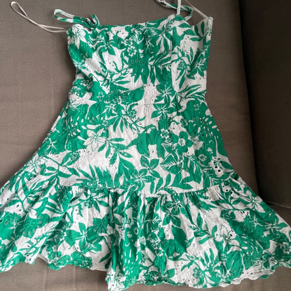 Francesca's Collections Green and White Floral Dress